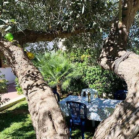 Sole Di Sicilia 3* Castelluzzo